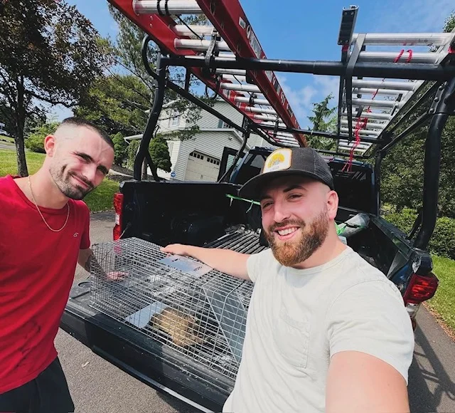 Truck-mounted wildlife cage system with metal compartments for animal capture and transport