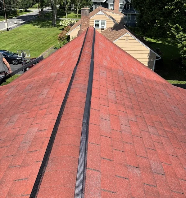 Steel exclusion screening installed on roof vents and chimney, red asphalt shingles